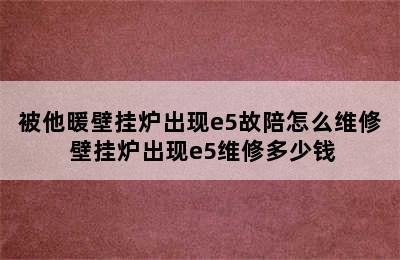 被他暖壁挂炉出现e5故陪怎么维修 壁挂炉出现e5维修多少钱